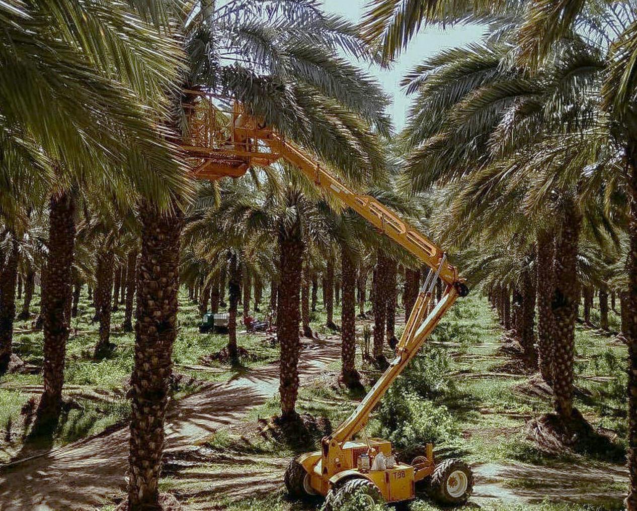 Hier sollte man lieber schwindelfrei sein Hier sollte man lieber schwindelfrei sein